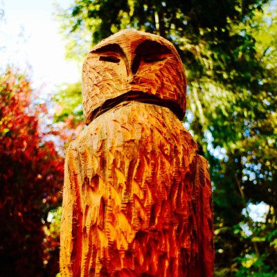 Be Wise and Observant 