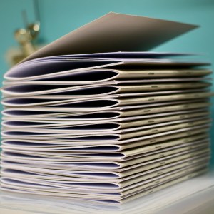 Someones Perspective