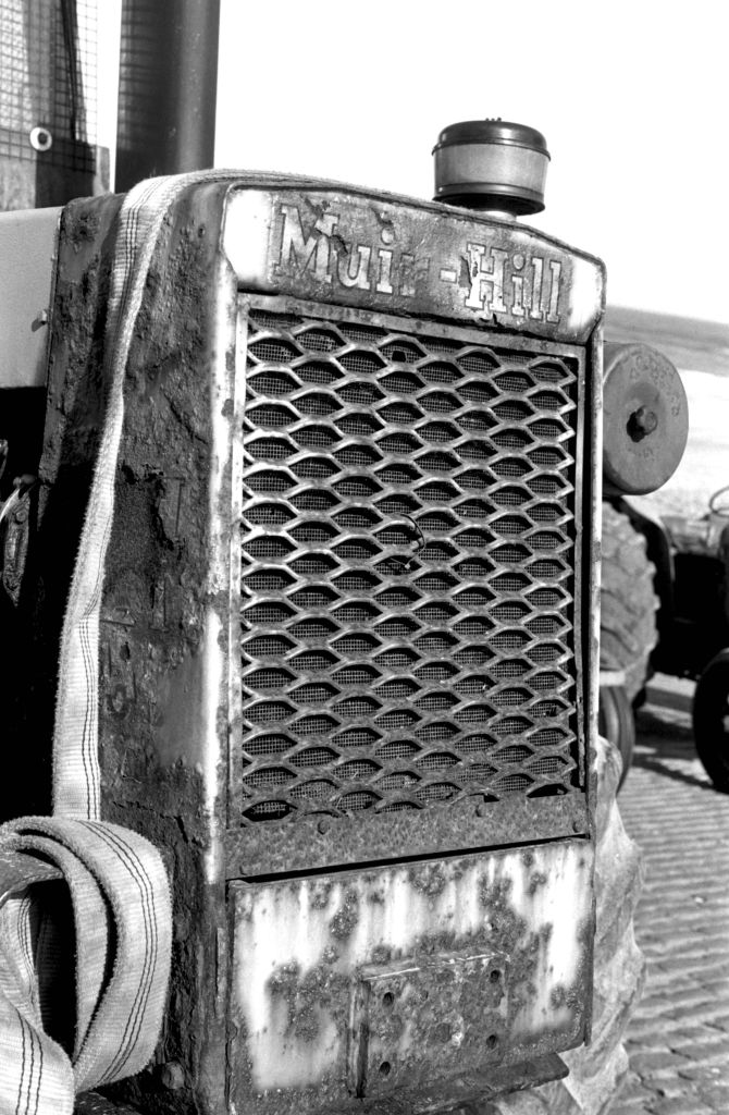 Takumar 50mm f1.4: Ian Timothy